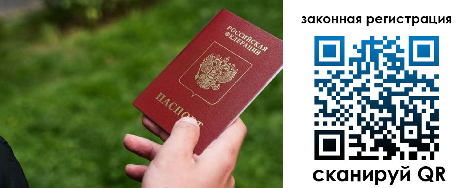 прописка законно в Королёве